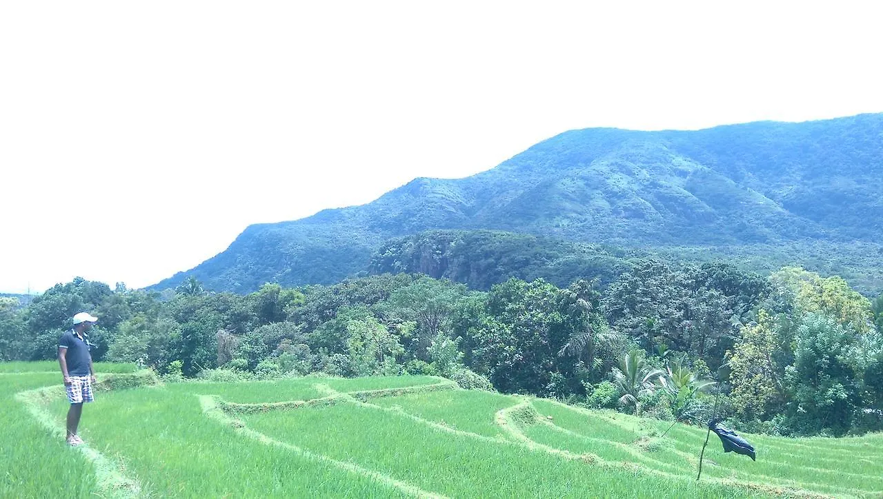 山林小屋 Naturee Riverstone River Cottage 康提